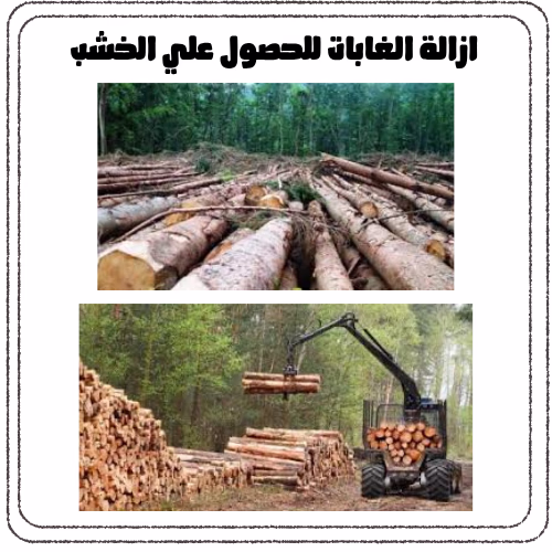 ازالة الغابات واثرها علي البيئة