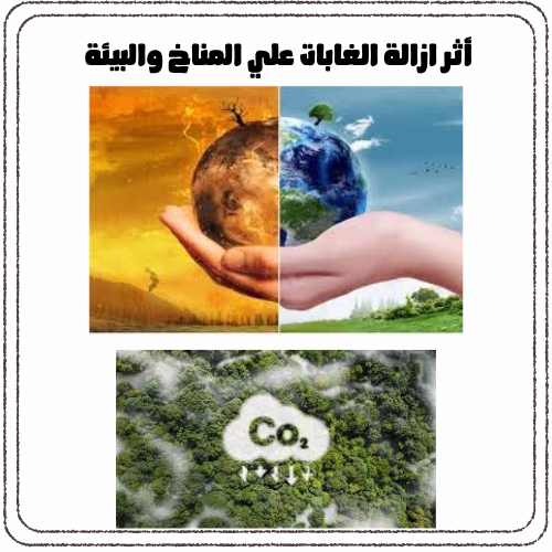 ازالة الغابات واثرها علي البيئة