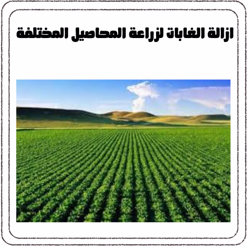ازالة الغابات واثرها علي البيئة