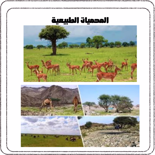 بعض الانواع الحيوانية المهددة بالانقراض....