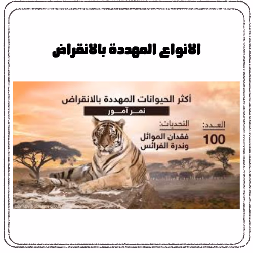 بعض الانواع الحيوانية المهددة بالانقراض....