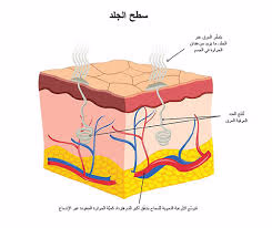 كيفية العناية اليومية بالبشرة في الصيف: روتين يحميك من حرارة الشمس ويمنحك إشراقة طبيعية