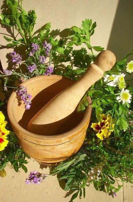 فوائد الأعشاب.. كنوز الطبيعة لصحة الإنسان