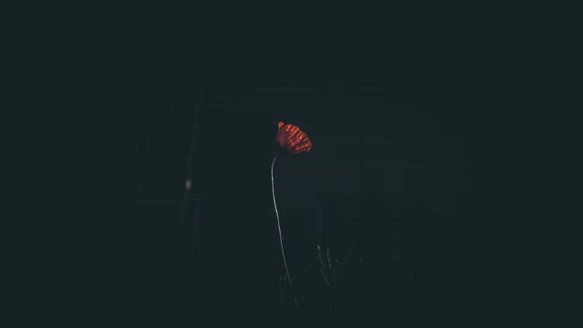 احذر من العلاقات السامة