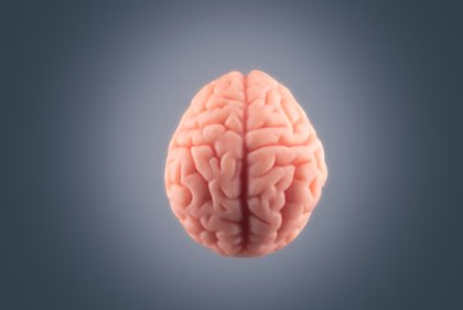 ماذا يحدث للدماغ قبل أن نموت؟