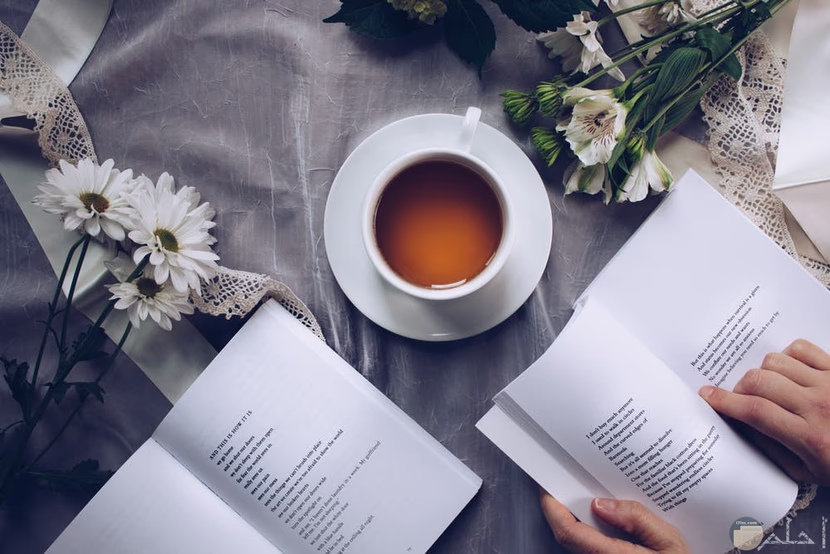 أفضل 10 روايات عربية لا بد أن تقرأها
