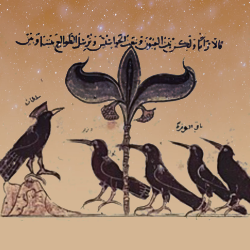 الغراب شاهد