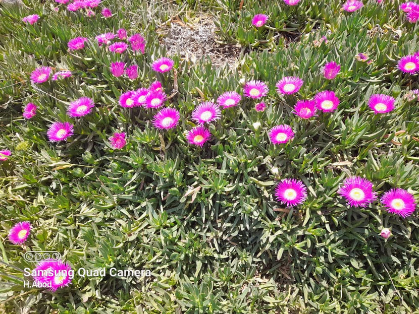 أهم النصائح لزيادة عدد المتابعين في x للعام 2026